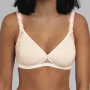 Rosa Faia Colette 5250